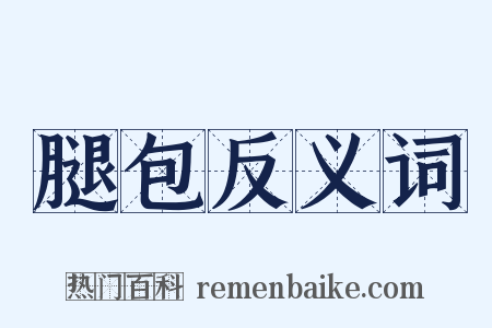 腿包反义词是什么意思的图片